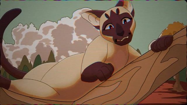 Tigerstar & Sasha - Little Songbird (КОТЫ ВОИТЕЛИ АНИМАЦИЯ (?) ПЕРЕЗАЛИВ)