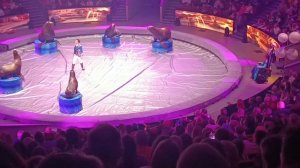 В цирке на Вернадского.