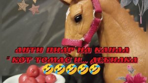 АНТИ ПИАР НА КАНАЛ " КОТ ТОМАС"