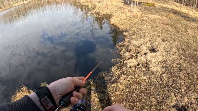 Ранняя весна и тест nano jig 165 XUL