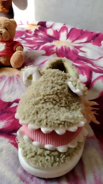 Котёнок и башмачок- крокодильчик.