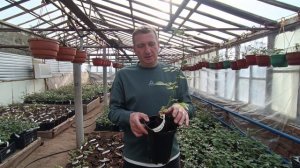 Для тех, кто готов получить заказы.