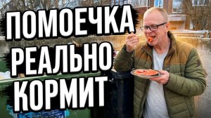 Добыча на помойке: что я нашёл и попробовал!