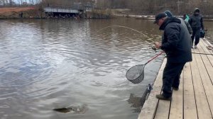 Спортзона.Резина