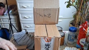 Неотложные дела, закупки, распаковки.