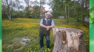 96.Наш Гор. сад=Сл. А. Зенцов, Л. Сычугова, муз. Л. Сычугова, аранж. Е. Обухова, исп. Т. Цветкова.