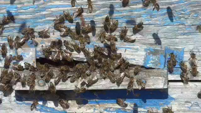 Облет. Второй день 4 апреля 2026