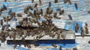 Облет. Второй день 4 апреля 2026