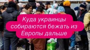 Украинские беженцы уже и в Европе отличились. #новости #беженцыизукраины