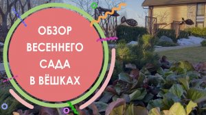 Выход сада после снежной зимы