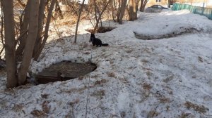 На улице отлично.