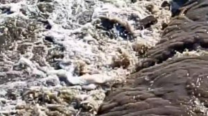 Вода прибывает с каждыми часом. Весенний паводок.