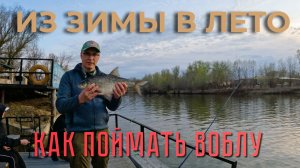 Рыбалка в Астраханской области.Вобла на червя. Открыли сезон 2026 г.