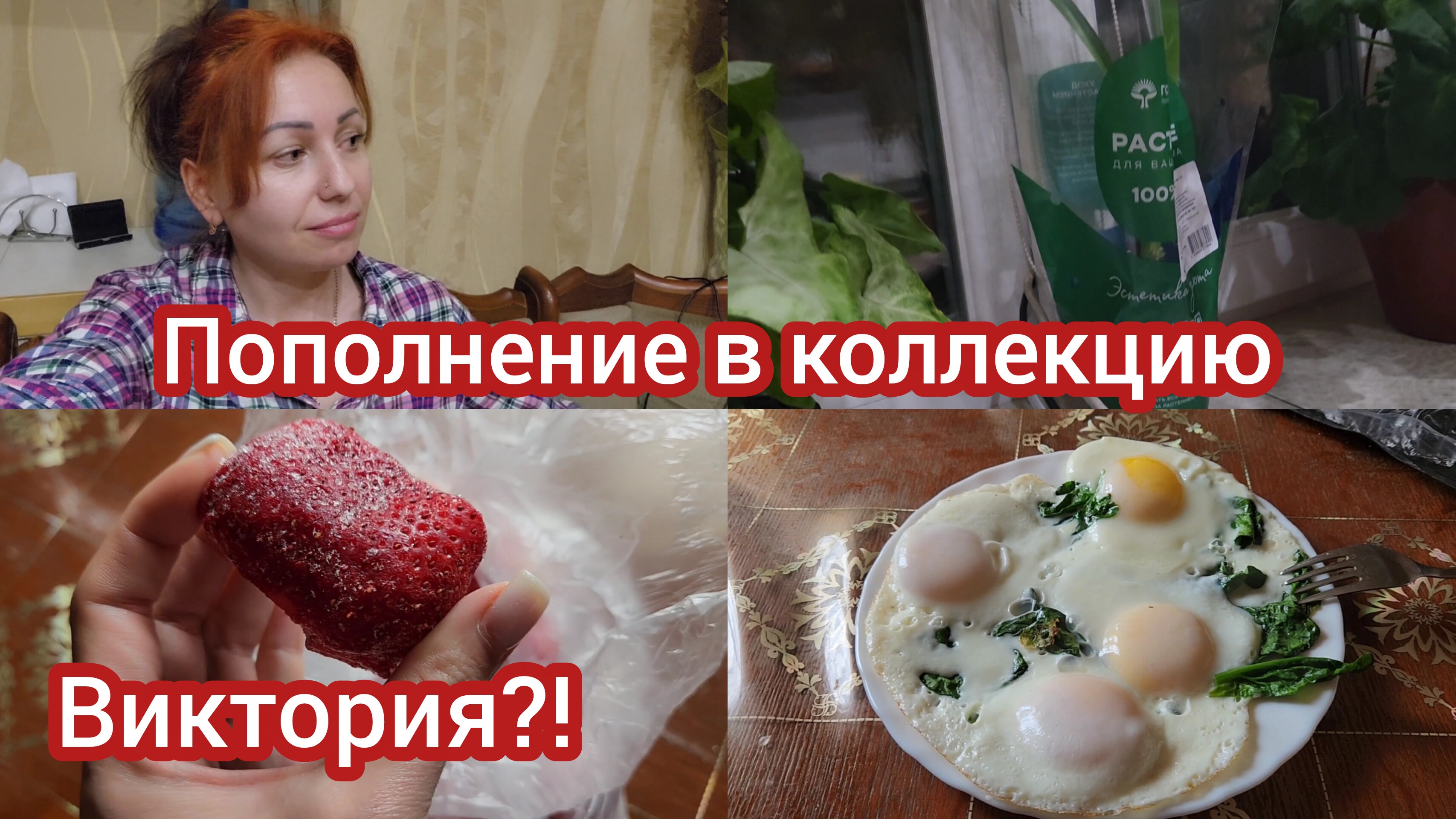 Я осталась на едине с собой!Вероника выполнила мою просьбу 🌱#семьяизмариуполя