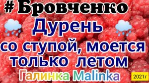 Семья Бровченко _Дурень со ступой, моется только летом _Обзор Влогов _