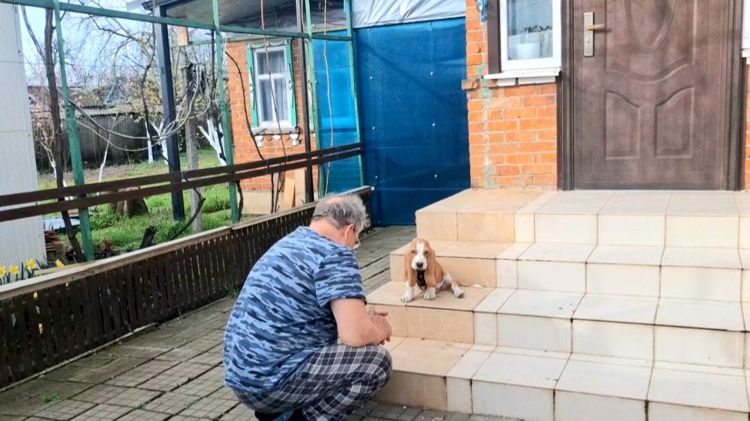 1155 С утра в работе.Первая прогулка. Всё делаем правильно.