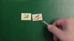 Приобретения марта 2026 г.