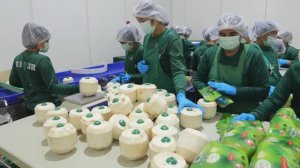 Новый способ производства кокосовой воды.