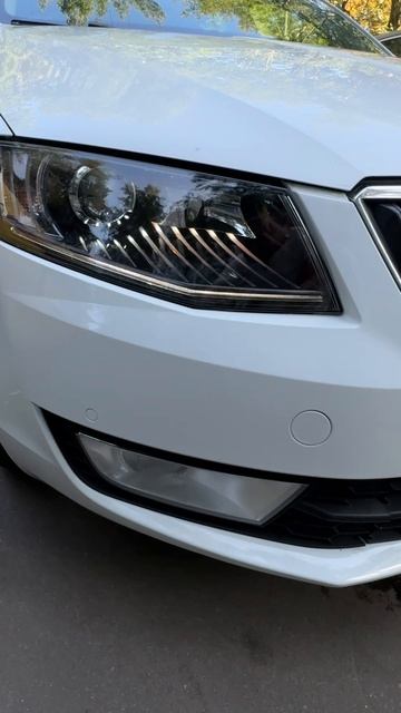 Skoda Octavia A7 2013-2017г. Фары Biled вместо галогена