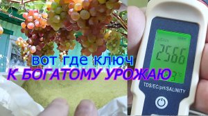Вот где ключ к богатому урожаю.С этими знаниями у тебя будет богатый урожай.