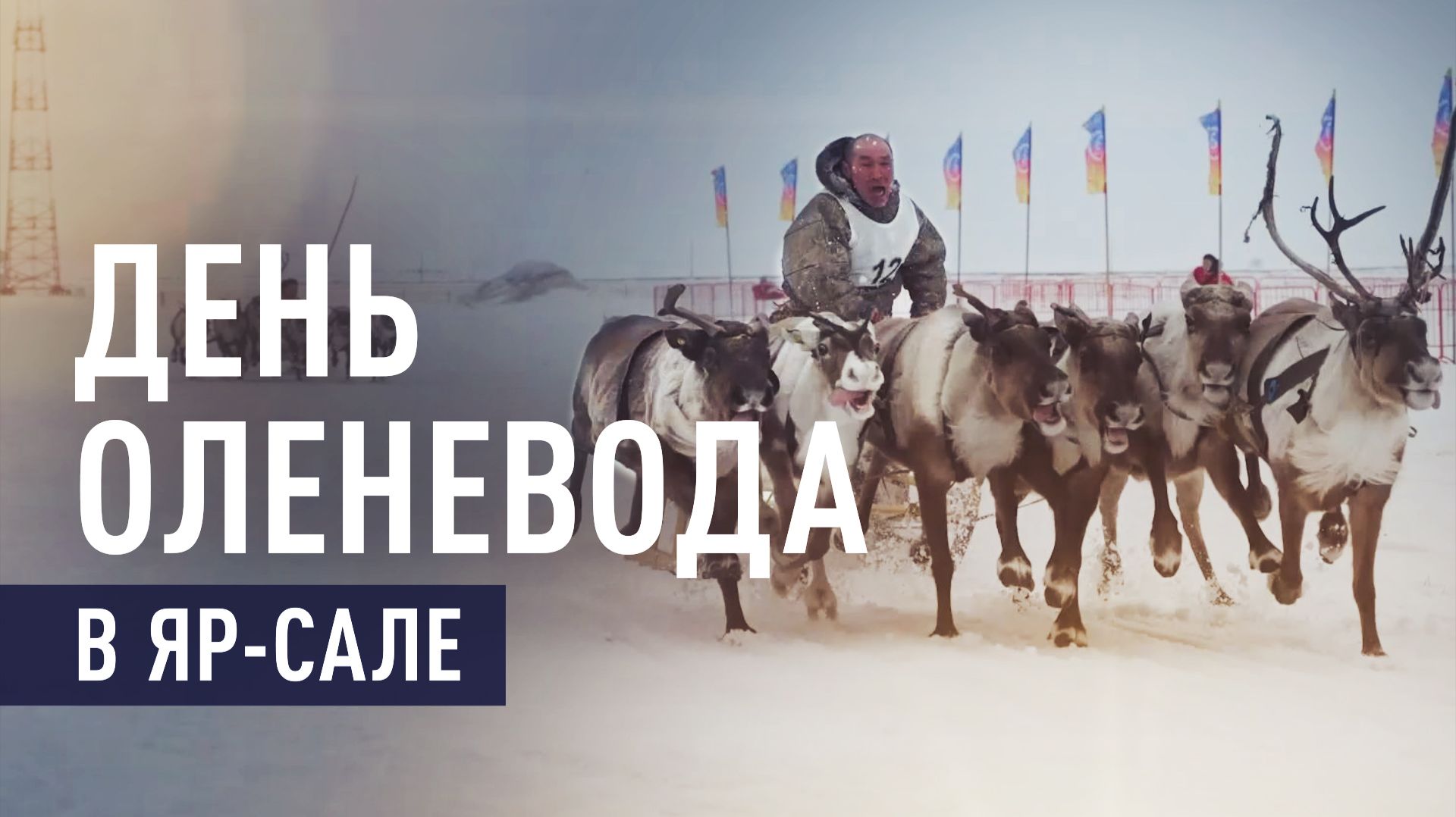 В ЯНАО прошёл 65-й Слёт оленеводов