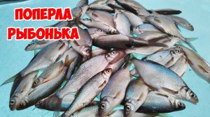 Рыбалка на Иркутском водохранилище.