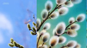 Веточкою вербы к вам в окно стучу...