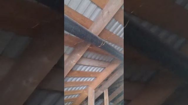 Стрим на чердаке 2