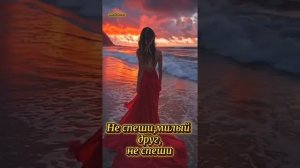 Не спеши,милый друг, не спеши.