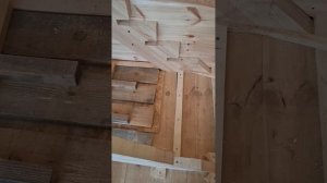 1000055091.mp4 (Собака наблюдает за устройством лестницы на 2-ой этаж в доме А-фрейм)