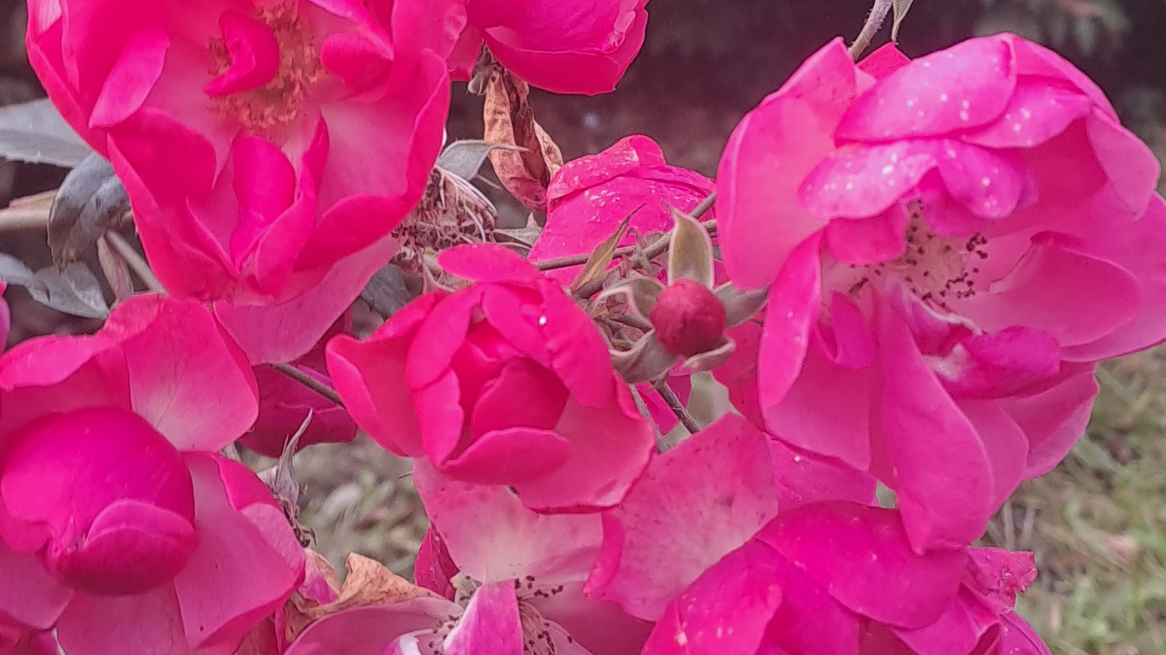 какие слухи о вас распускают......