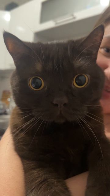 228CCAE1-540A-4B1F-9382-C7F6B0F028E8