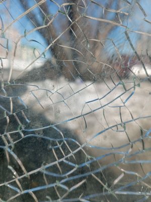 кофиек. с праздником Вербным воскресеньем