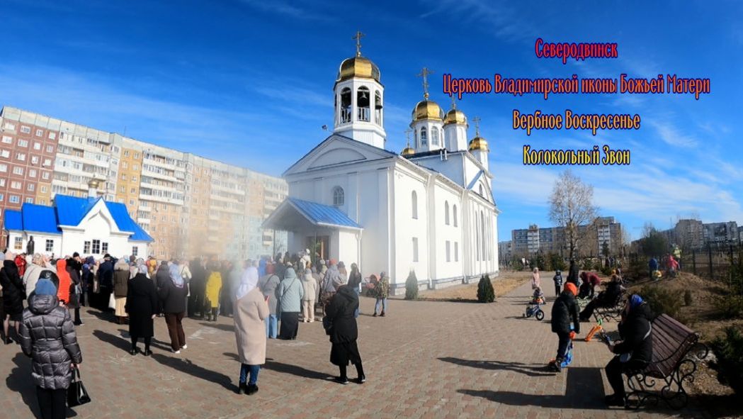 Церковь Владимирской иконы Божьей Матери | Вербное Воскресенье | Колокольный Зв