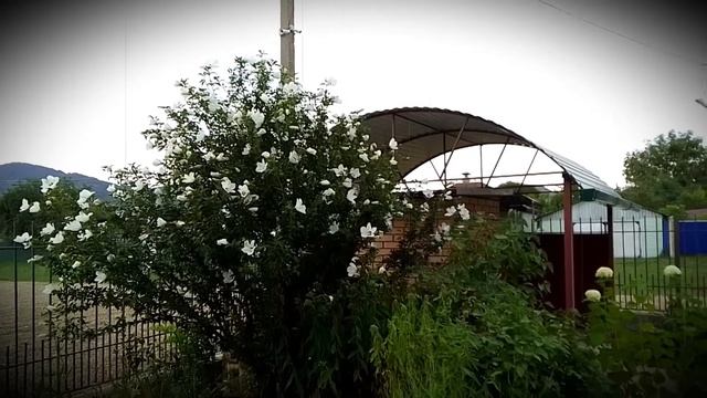 Баговская.Храм Архангела Михаила