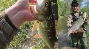 Эту рыбу невозможно остановить! Рыбалка на спиннинг, ловля жереха, окуня, голавля.