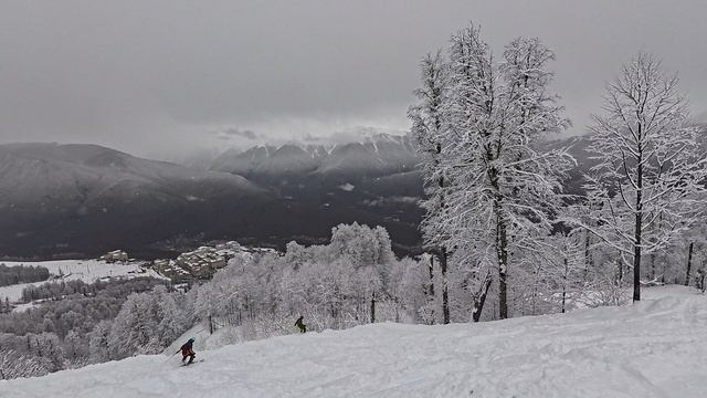 2026-02-26 Сочи. Медовей (ПЕТЯ-ФЕДЯ)