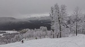 2026-02-26 Сочи. Медовей (ПЕТЯ-ФЕДЯ)