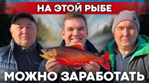 Эта РЫБА стоит ДОРОГО: как фермеры зарабатывают на гольце? Самая полезная рыба! | Своя еда