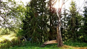 Просто сентябрь