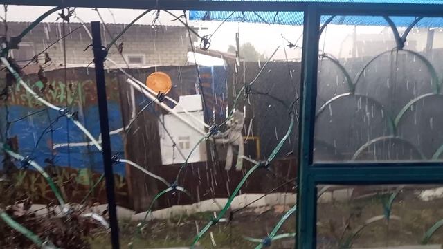 Воскресный дневной ливень.Хайдар боится раскатов грома