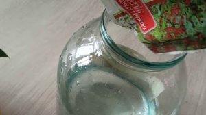 КАК РАЗДЕЛИТЬ БИРКИНА #биркин #филодендронбиркин #какразделить #декоративнолиственные