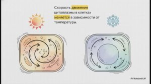 Биология 6 класс параграф 4 ЖИЗНЕДЕЯТЕЛЬНОСТЬ КЛЕТКИ ЕЁ ДЕЛЕНИЕ И РОСТ