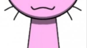 Рыжий пришел