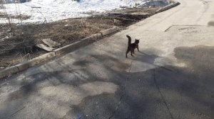 По асфальту вперед.