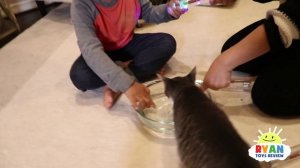 Magic Energy Stick Science Experiments for Kids with Ryan ToysReview