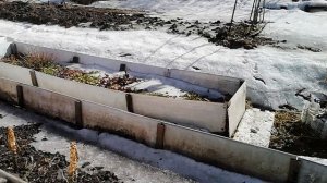 Сад 5 апреля 2026г /второй заезд/ скоро снег растает на всем участке