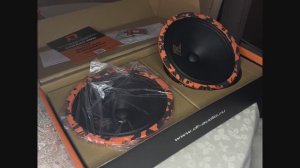 Распаковка, обзор, прослушка Dl Audio Gryphon Pro 200 Neo