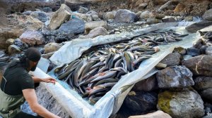 Самые простые методы рыбалки / Рыбалка / Крупная рыба