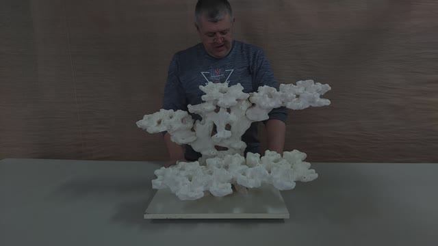 ДФ-402 Декорация из биокерамики для морского аквариума